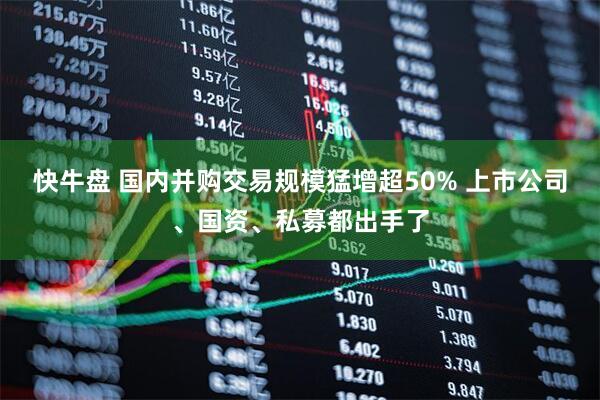 快牛盘 国内并购交易规模猛增超50% 上市公司、国资、私募都出手了
