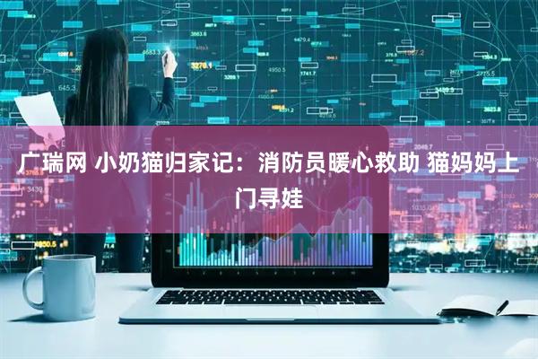 广瑞网 小奶猫归家记：消防员暖心救助 猫妈妈上门寻娃