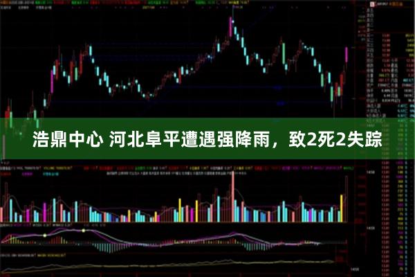 浩鼎中心 河北阜平遭遇强降雨，致2死2失踪
