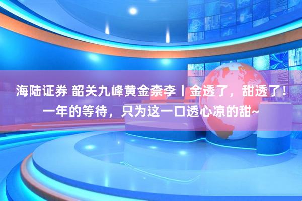 海陆证券 韶关九峰黄金柰李丨金透了，甜透了！一年的等待，只为这一口透心凉的甜~