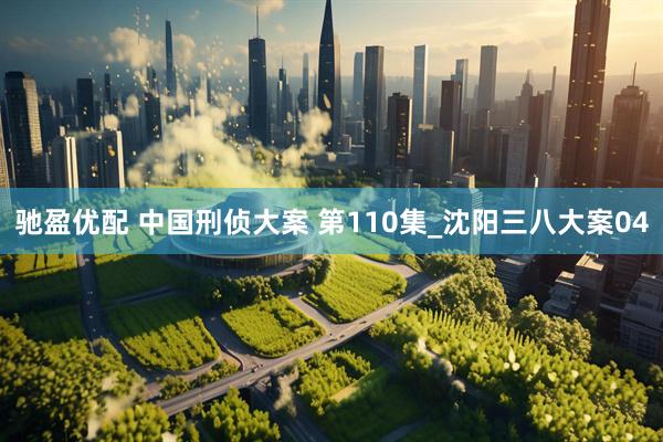 驰盈优配 中国刑侦大案 第110集_沈阳三八大案04