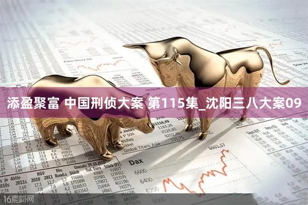 添盈聚富 中国刑侦大案 第115集_沈阳三八大案09