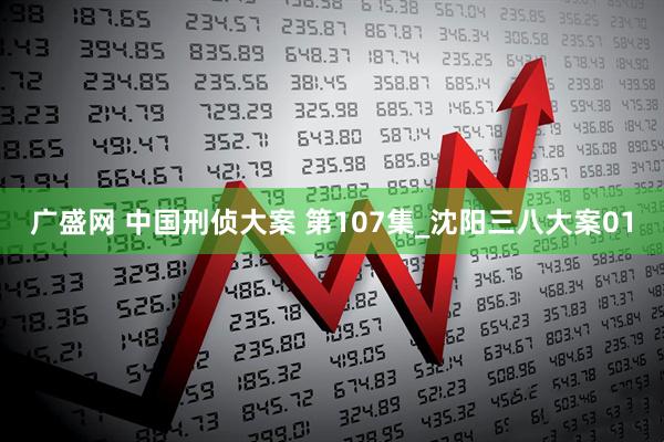 广盛网 中国刑侦大案 第107集_沈阳三八大案01