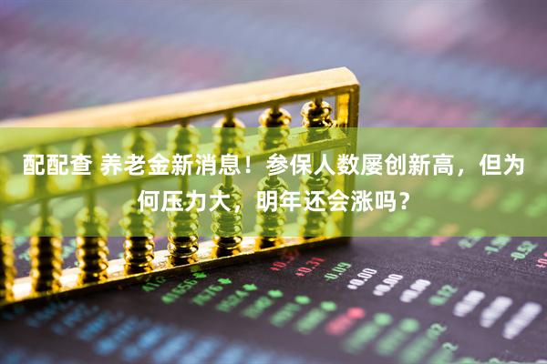 配配查 养老金新消息！参保人数屡创新高，但为何压力大，明年还会涨吗？