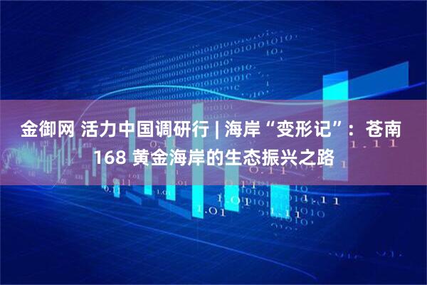 金御网 活力中国调研行 | 海岸“变形记”：苍南 168 黄金海岸的生态振兴之路
