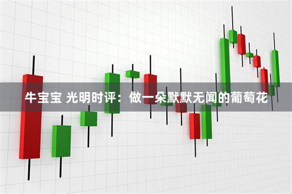 牛宝宝 光明时评：做一朵默默无闻的葡萄花