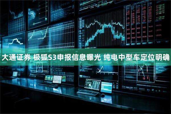 大通证券 极狐S3申报信息曝光 纯电中型车定位明确